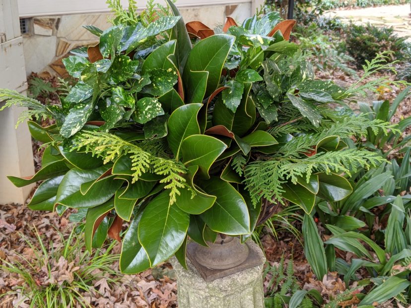 Fill an outdoor container with interesting greenery to a little spice to the winter landscape.