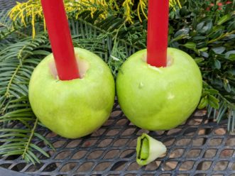Cut out the center of the apple with a sharp knife or apple corer. Rub the inside of the cutout area with lemon juice to help prevent browning. Barbara H. Smith, ©2020 HGIC, Clemson University