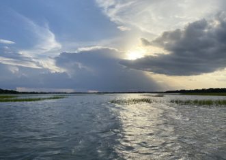 As sea level rises, existing Spartina may spend more time under water and decline. Management strategies mentioned in this factsheet can help. Kim Morganello, ©2021, Clemson Extension