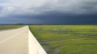 As impervious surface areas associated with the built environment increase, so does the potential for negative impacts on the salt marsh. Kim Morganello, ©2021, Clemson Extension