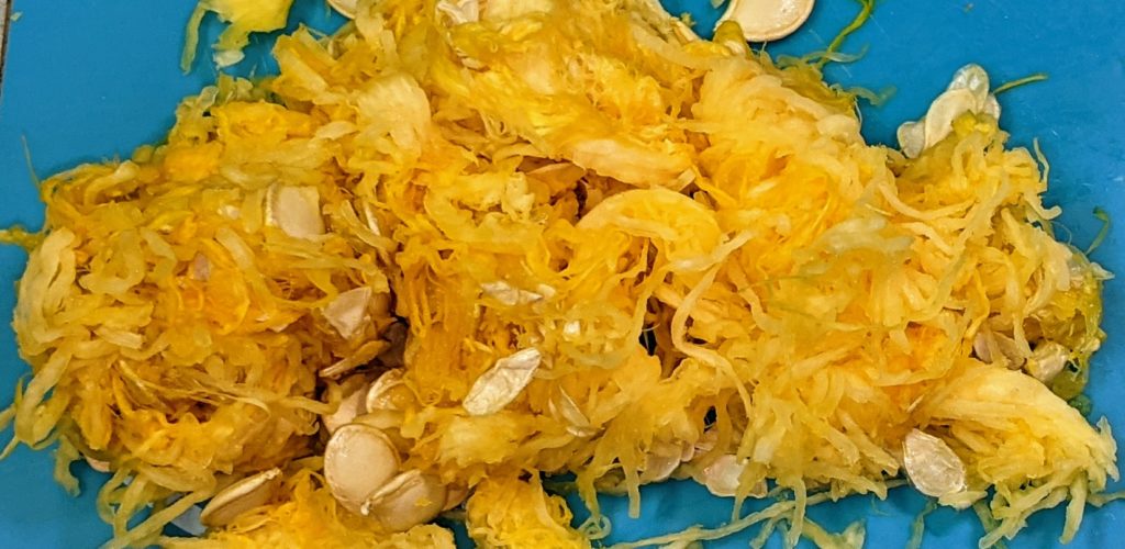 Portrait seed and stringy tissue removed from the center of the spaghetti squash Chase McIntosh Baillie, ©2021 Clemson Extension