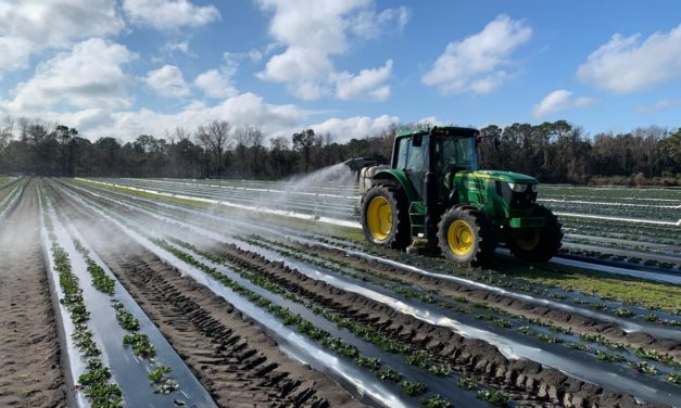 SC Fruit and Vegetable Field Report January 19, 2021