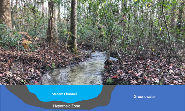 The Hyporheic Zone and Streams