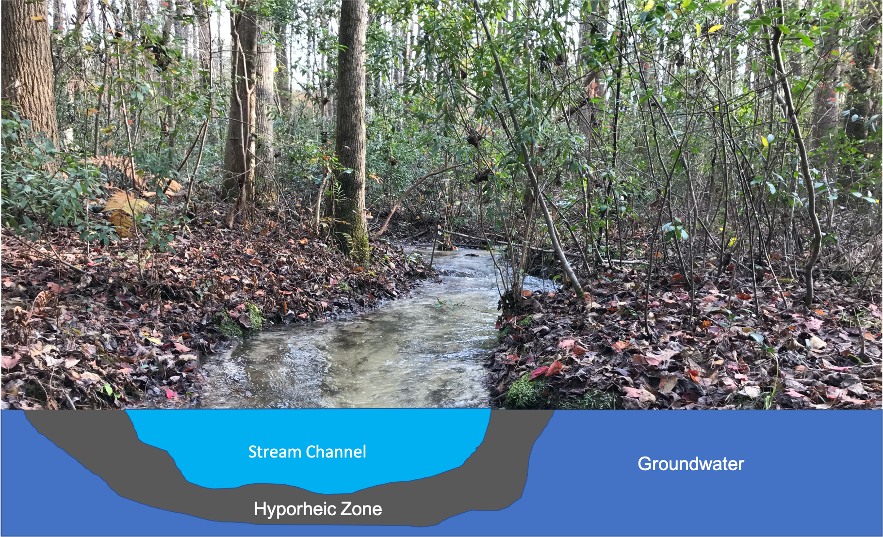 The Hyporheic Zone and Streams | Home & Garden Information Center