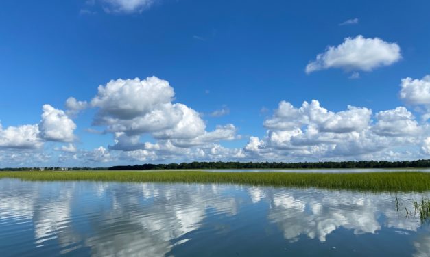 Life Along the Salt Marsh: Troubleshooting Salt Marsh Decline