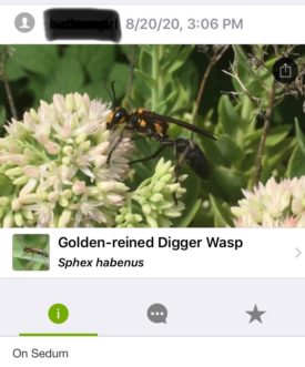 Example of Garden app. Stephanie Turner, ©2021, Clemson Extension