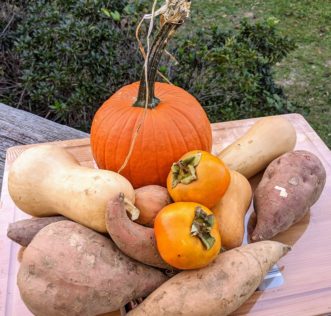 Cutting board with butternut squash, pumpkin, sweet potatoes, and persimmon. Chase Baillie, ©2020, Clemson Extension