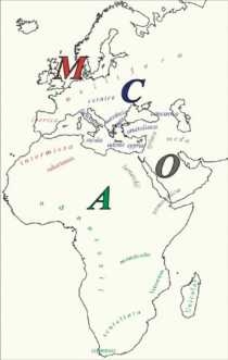 Main geographic races of Apis mellifera Adapted from LeConte (2008)