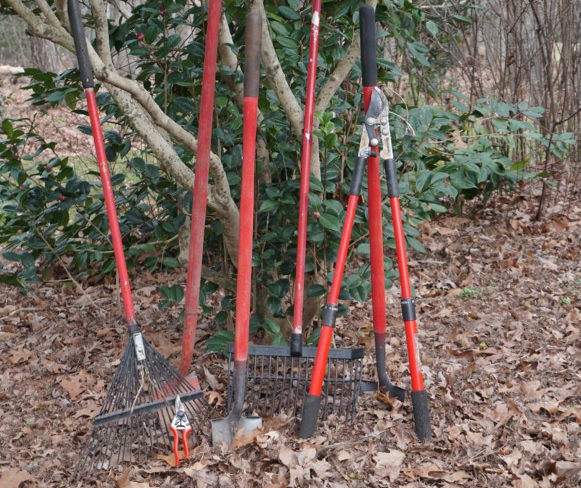 Paint or purchase garden tools with bright colored handles. This makes them easier to find in the landscape. Barbara H. Smith, ©2021 HGIC, Clemson University 