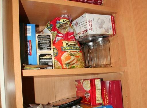 A Clean, Safe, Healthy Kitchen & Home: Controlling the Critters