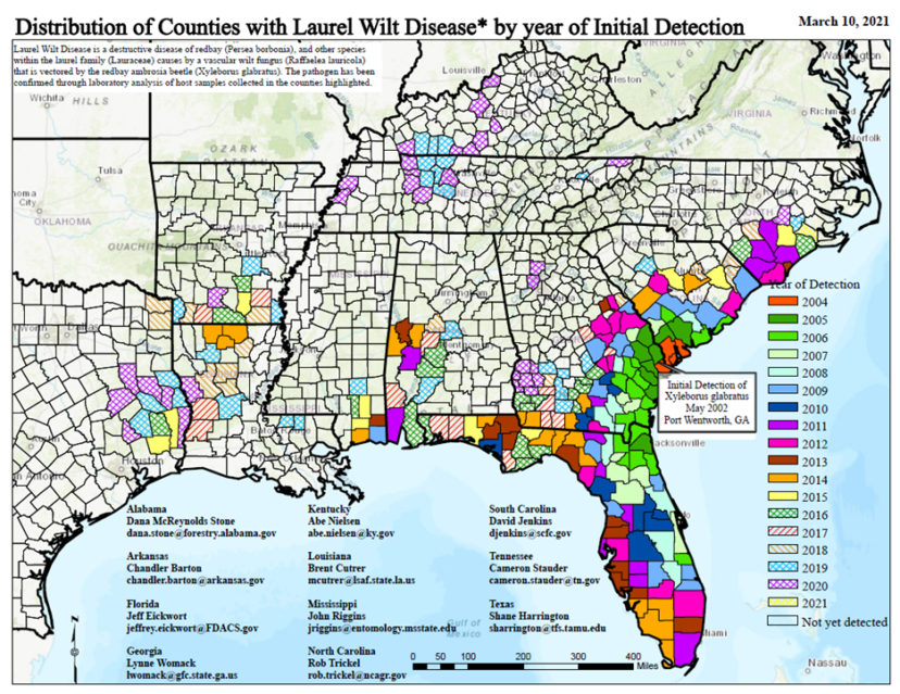 Distribution of counties with laurel wilt disease by year of initial detection (as of March 10, 2021). USDA Forest Service, Public Domain.