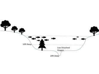 Figure 3: Structures placed in a vertical position and at depths of 15ft or less will yield the best results. Charly McConnell, ©2021, Clemson Extension