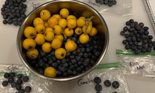SC Fruit and Vegetable Field Report May 10, 2021