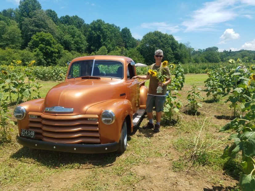 Sunflower festivals are fun for everyone and help support local agritourism. LayLa Burgess, ©2019 HGIC, Clemson Extension