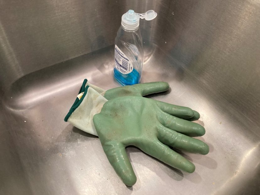 These nitrile-dipped garden gloves have care instructions that indicate washing by hand with a mild detergent and hanging to air dry. Stephanie Turner, ©2021, Clemson Extension