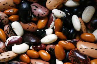 Canned beans can be used instead of dry beans when food preparation time is short. Photo credit: Pixabay
