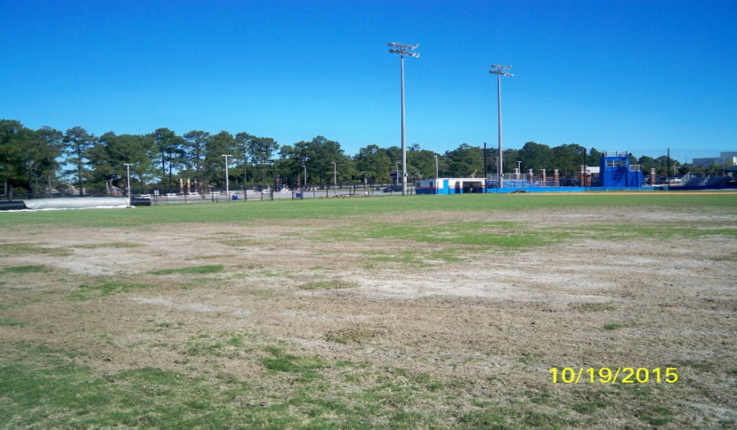 Fall army worm damage to Bermuda baseball field. Jackie Jordan, ©2015, Clemson Extension