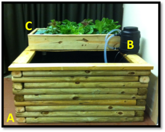 Figure 1. An aquaponics system consists of a fish tank (A), a filter (B), and a plant growing system (C). Lance Beecher, ©2021 Clemson University