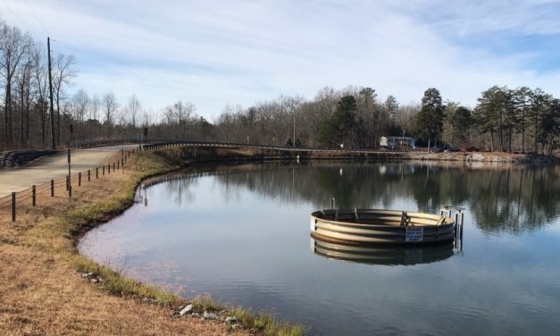 Make Dam Inspection and Maintenance Part of Your Pond Management Tasks