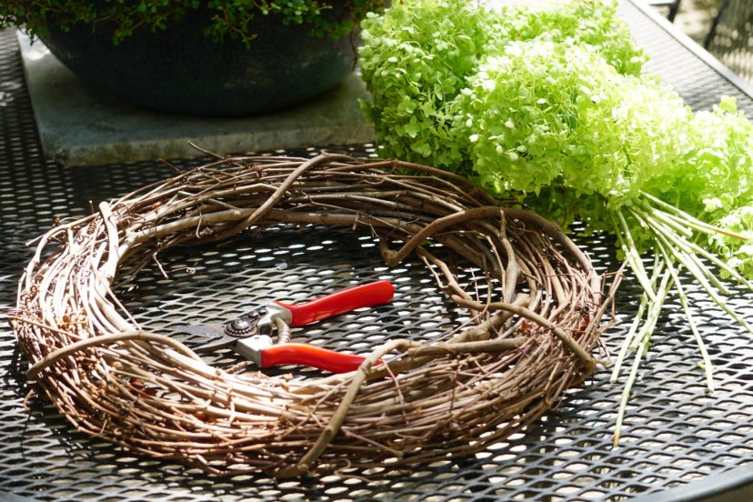 Use a purchased grape vine wreath form to insert the hydrangea stems to form your wreath. Barbara H. Smith, ©2021 HGIC, Clemson University