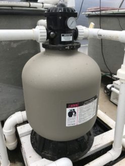 Figure 1. Filtration is needed for a productive aquaponics system. Lance Beecher, ©2021, Clemson University