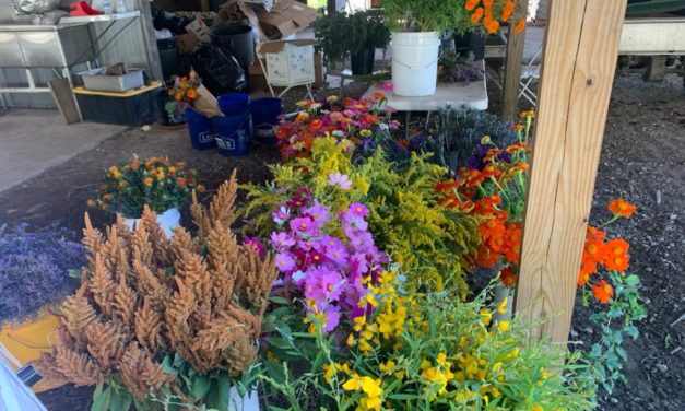 SC Fruit and Vegetable Field Report October 25, 2021