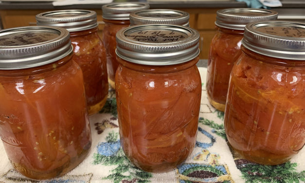 Canning Tomatoes Activity