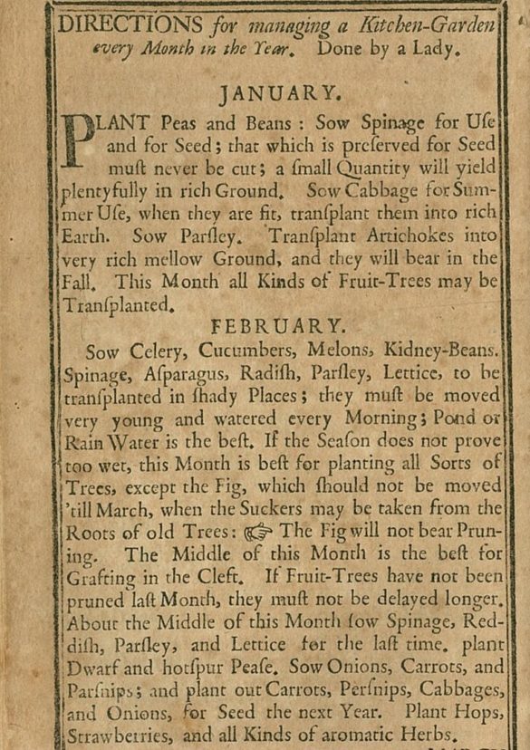 Martha Logan’s gardening advice for the months of January and February published in her “Gardener’s Kalendar.” Image courtesy of the South Carolina Historical Society, Charleston, S.C.