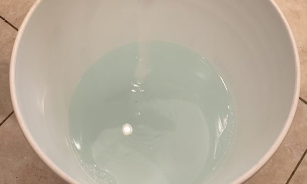 Cleaning and Sanitation for the Homebrewer