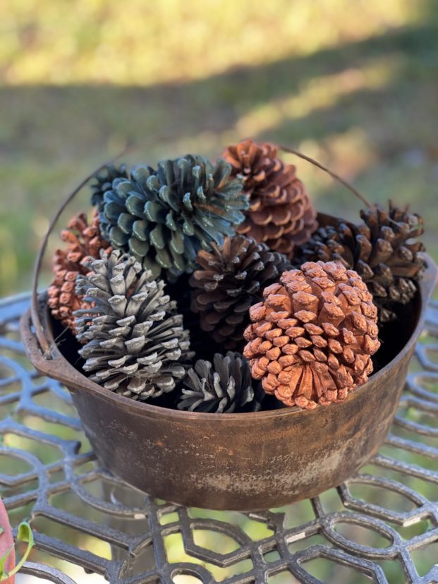 Dried pinecones spray painted golds and greens.