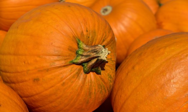 Bite Sized Pumpkin or Sweet Potato Pies