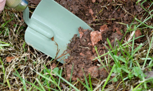 So, You Took a Soil Sample, Now What?