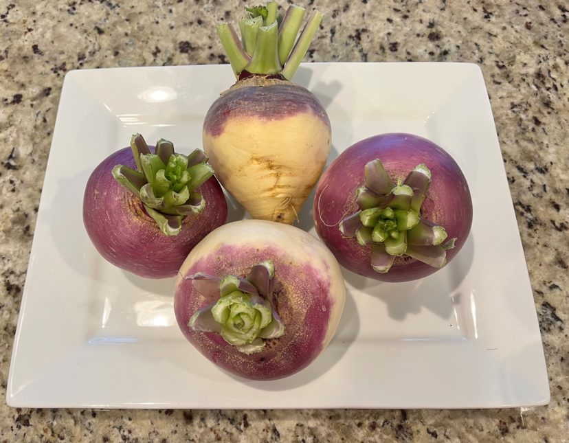 The rutabaga (back) is slightly more elongated and has creamier colored flesh compared to the three turnips on this platter.