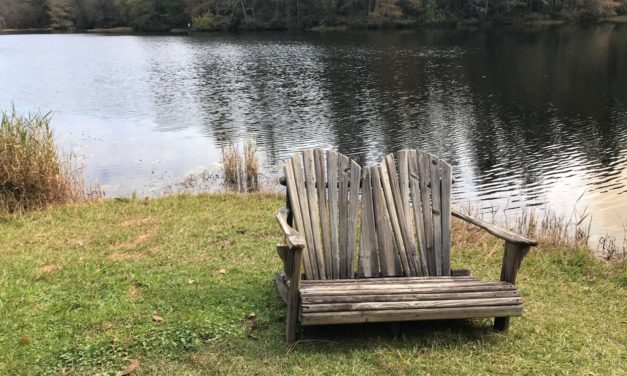 A Healthy Pond Starts in Your Landscape