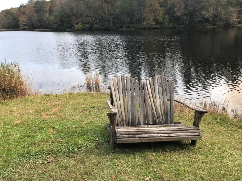 “A healthy pond is reliant on a healthy upland landscape.”