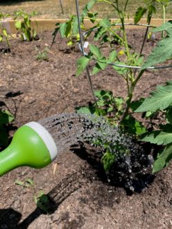 A garden hose with a spray attachment can be used to water the garden.