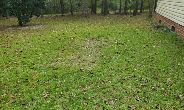 Be Septic Safe: Unique Situations