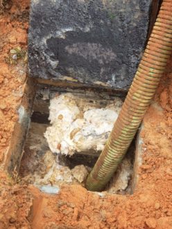 Figure 7. Fats, Oil, & Greases clogging septic system, Pickens County, SC.