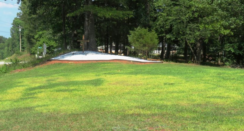 Heavy rain can cause the leaching of iron, leading to irregular chlorotic (yellow) shapes in lawns.