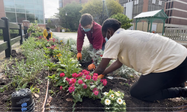 This Month In Your Garden – May
