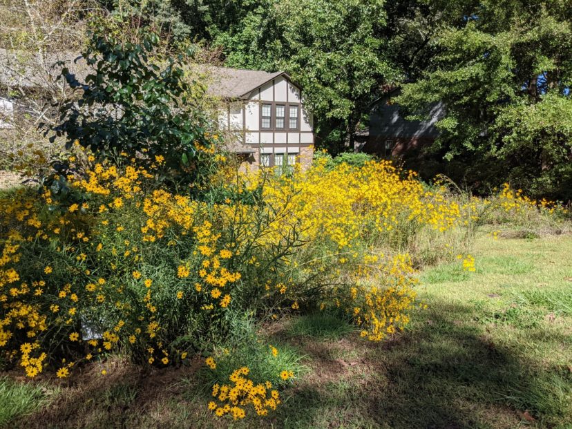 Things may get a little messy, but being a lazy gardener means choosing the right plants and not sweating the small stuff.