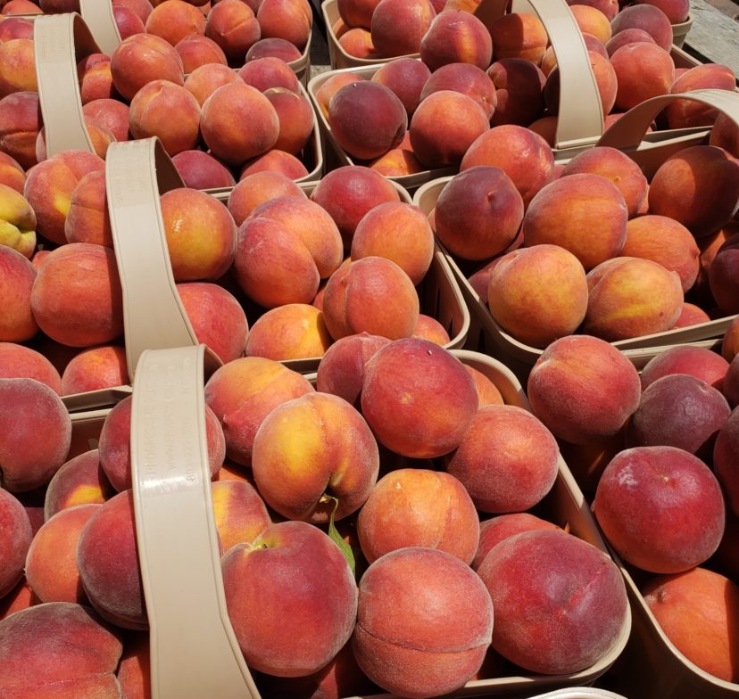 Crimson Prince peaches.