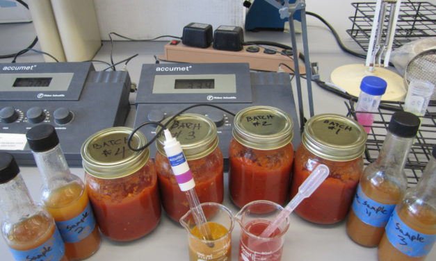 Product Testing
