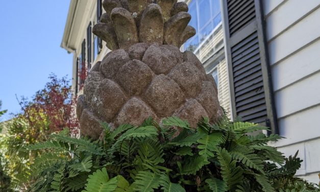Pineapples became a symbol of hospitality in early America