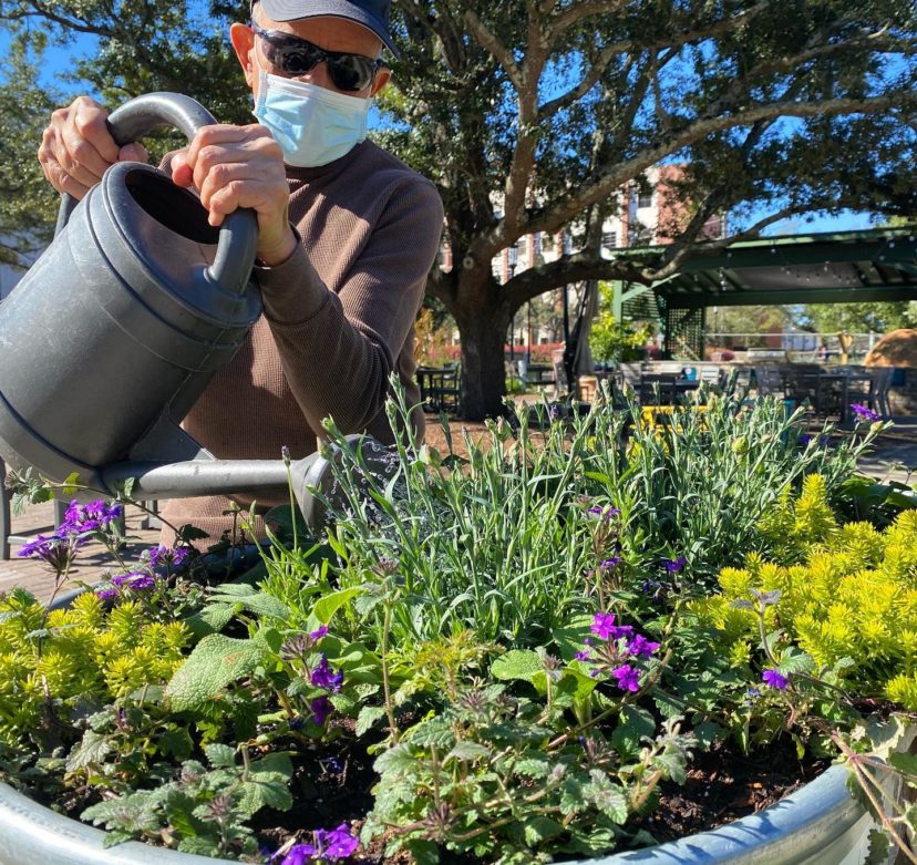 Water your container gardens more frequently to ensure adequate moisture.