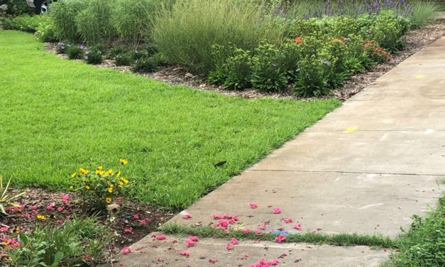 Water Conservation at Home