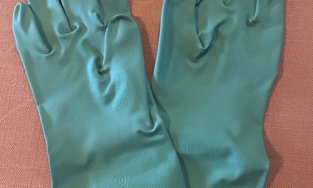 Personal Protective Equipment (PPE) for Homeowner Pesticide Usage