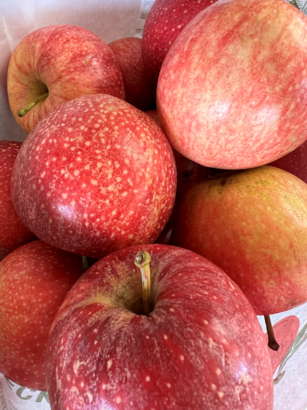 Harvested Gala Apples.