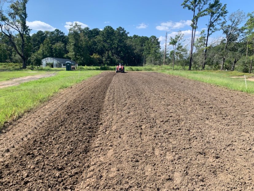 An application of preemergent herbicide was applied and rototilled in. Broccoli was planted 2 days later.