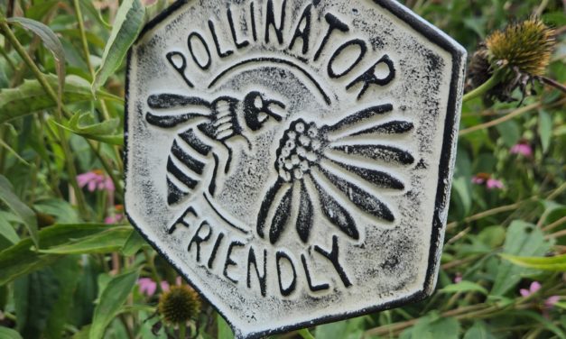 Plan Now for Pollinators